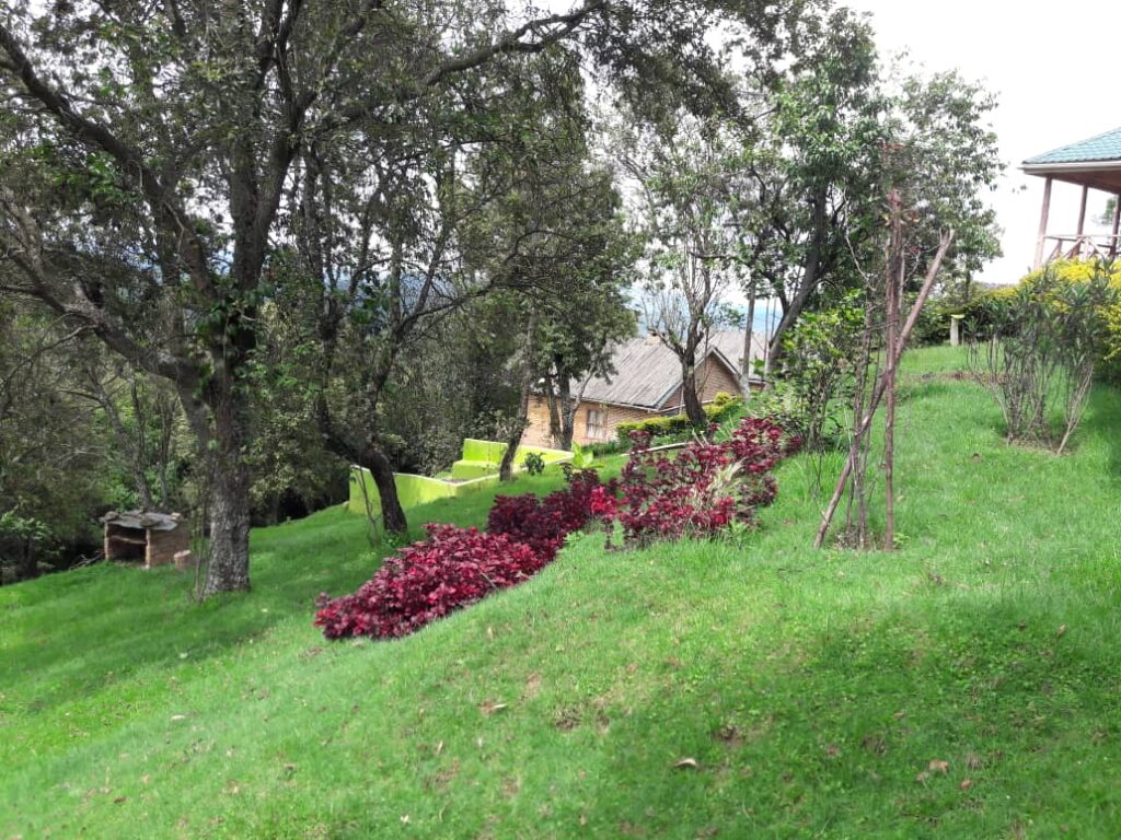 Ruhija Gorilla Lodge